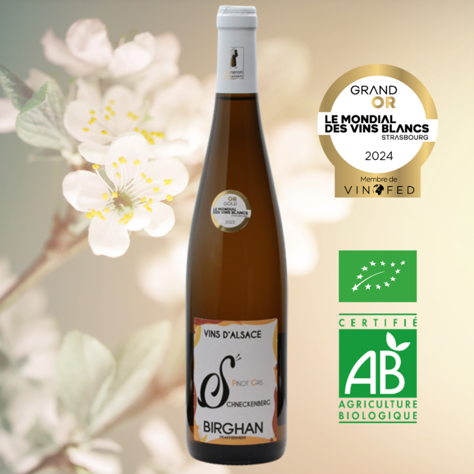 Pinot gris bio 2020 - Schneckenberg (75cl)