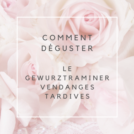 Gewurztraminer bio 2024 - Vendanges tardives - (50 cl)