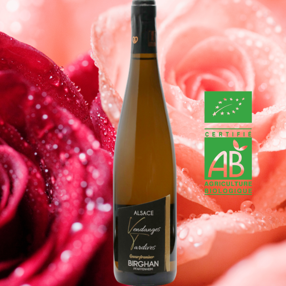 Gewurztraminer bio 2024 - Vendanges tardives - (50 cl)