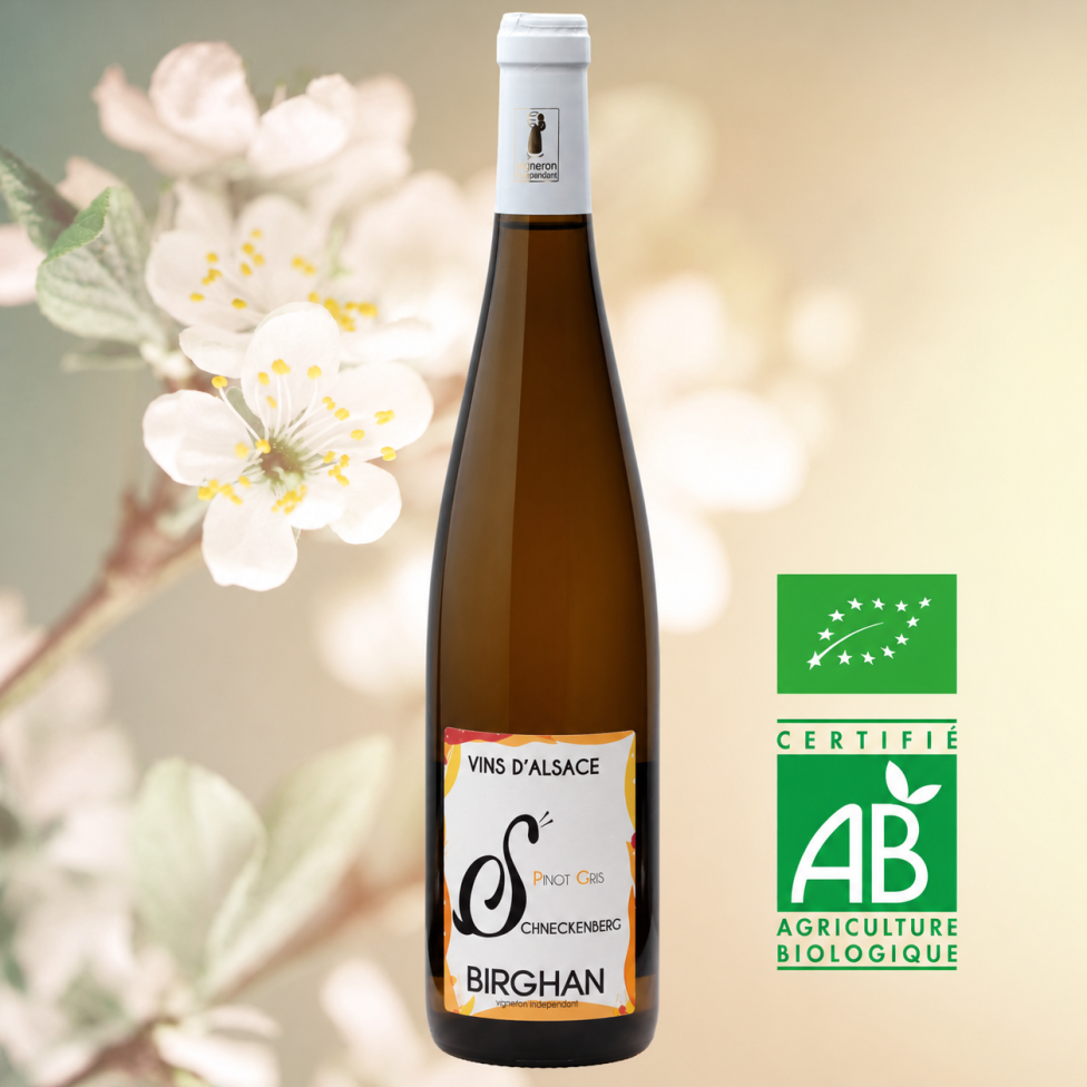 Pinot gris bio 2023 - Schneckenberg (75cl)