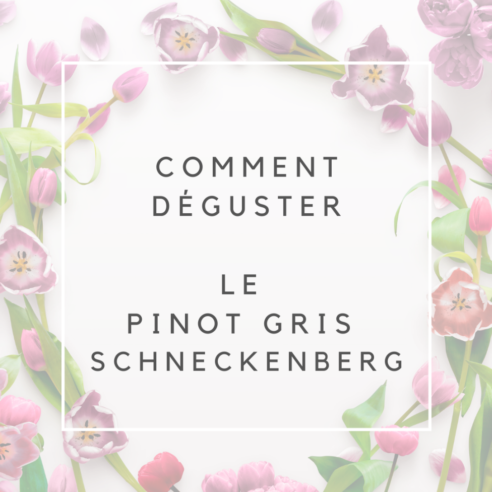 Pinot gris bio 2020 - Schneckenberg (75cl)