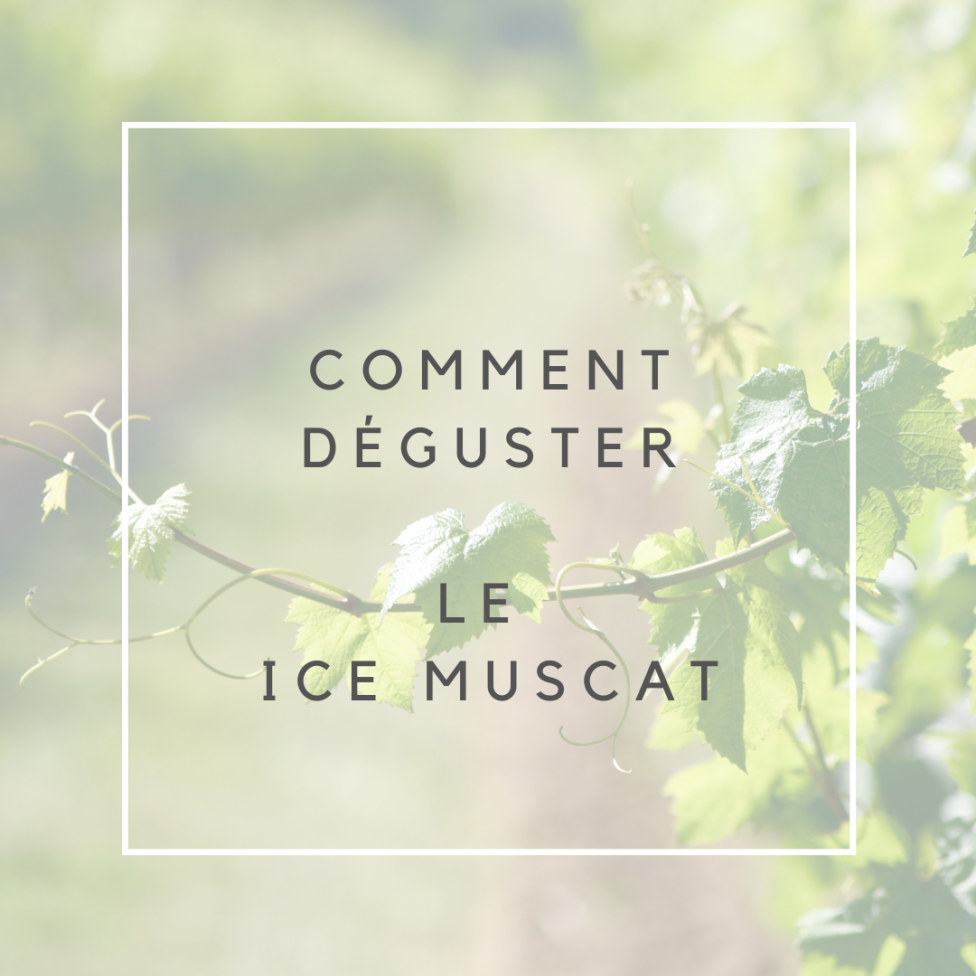 Ice Muscat (75cl)
