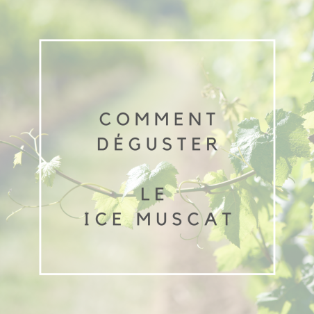 Ice Muscat (75cl)