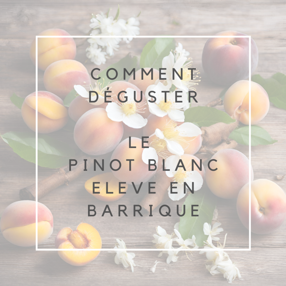 Pinot blanc bio 2022 - élevé en barrique (75cl)