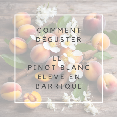 Pinot blanc bio 2020 - élevé en barrique (75cl)