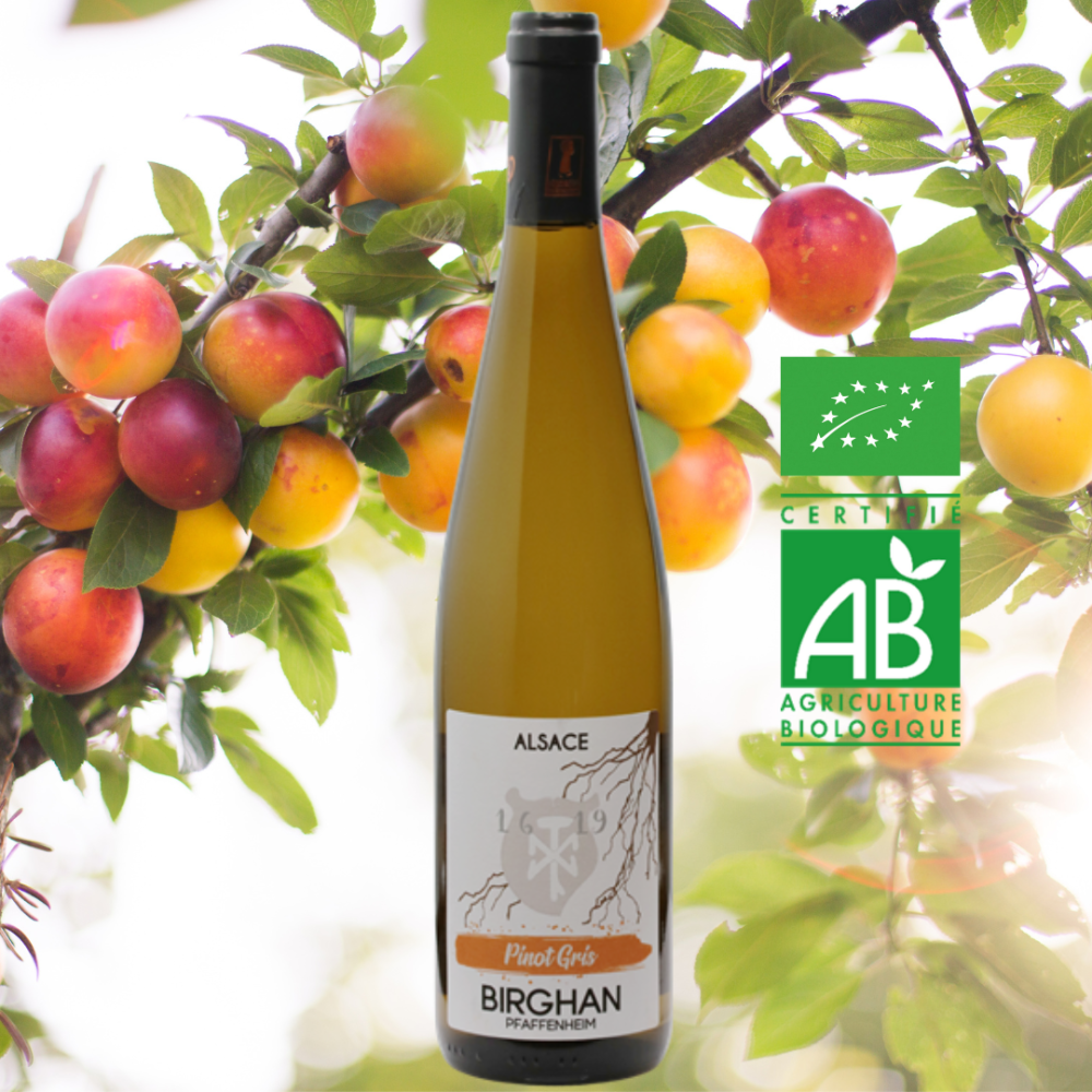 Pinot gris 2022 bio (75cl)