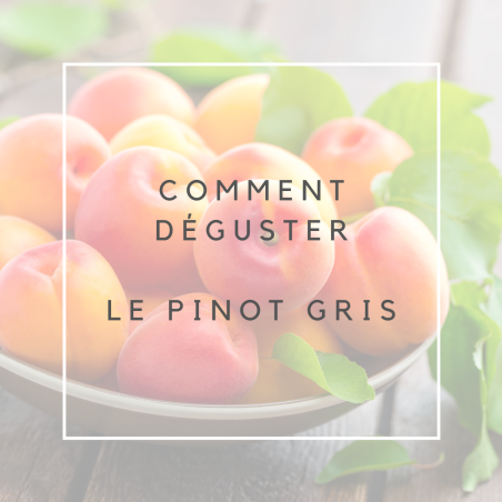 Pinot gris 2022 bio (75cl)