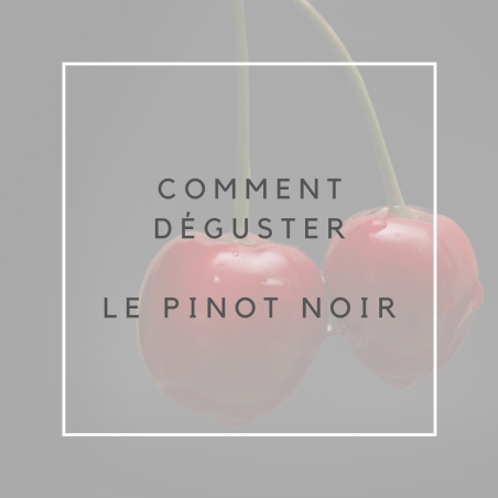 Pinot noir 2022 bio (75cl)