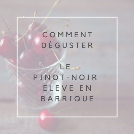 Pinot noir bio 2020 - élevé en barrique (75cl)