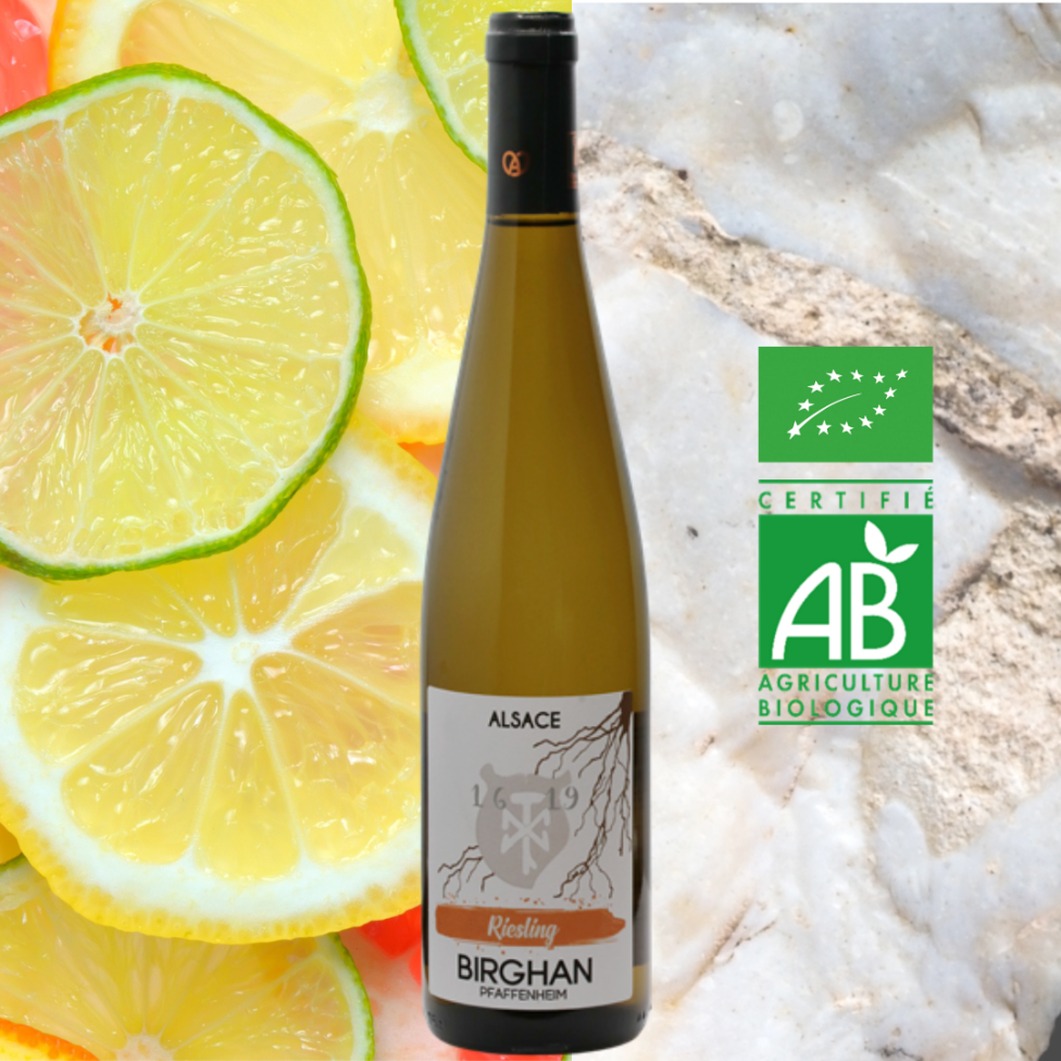 Riesling bio 2023 (75cl)
