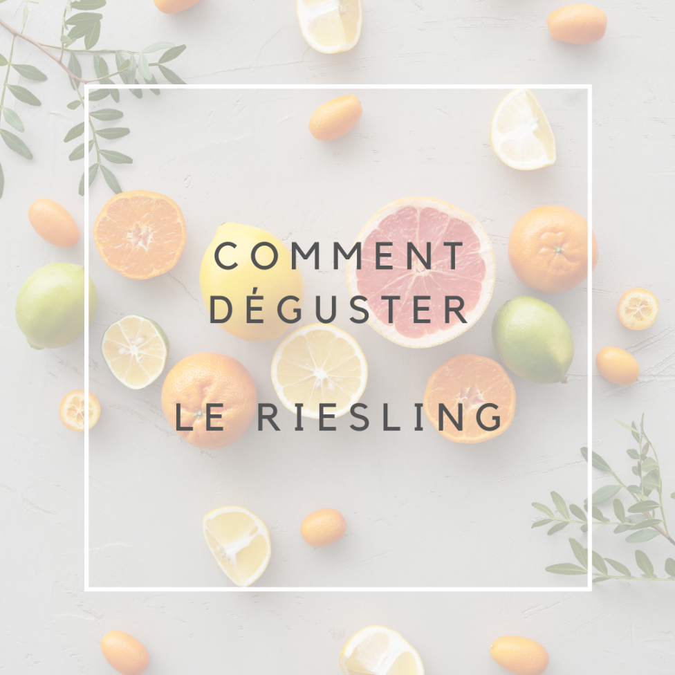 Riesling bio 2023 (75cl)