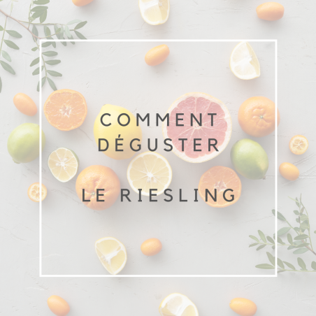 Riesling bio 2023 (75cl)