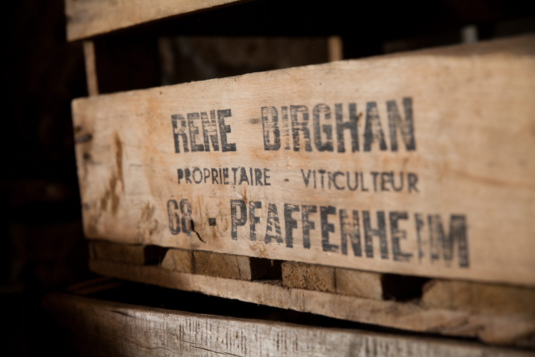 EARL Birghan Formaniak - Dégustation de vins secteur Eguisheim, Pfaffenheim, Riquewihr, Rouffach