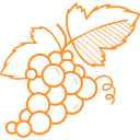 EARL Birghan Formaniak - Domaine viticole bio secteur Eguisheim, Pfaffenheim, Riquewihr, Rouffach