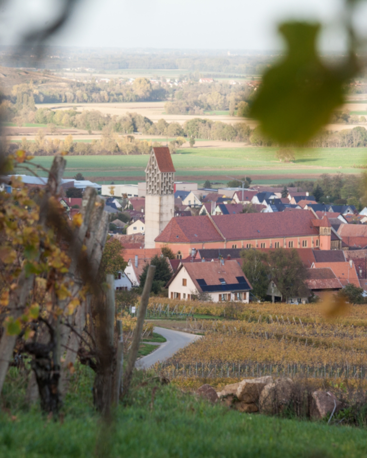 EARL Birghan Formaniak - Domaine viticole bio secteur Eguisheim, Pfaffenheim, Riquewihr, Rouffach